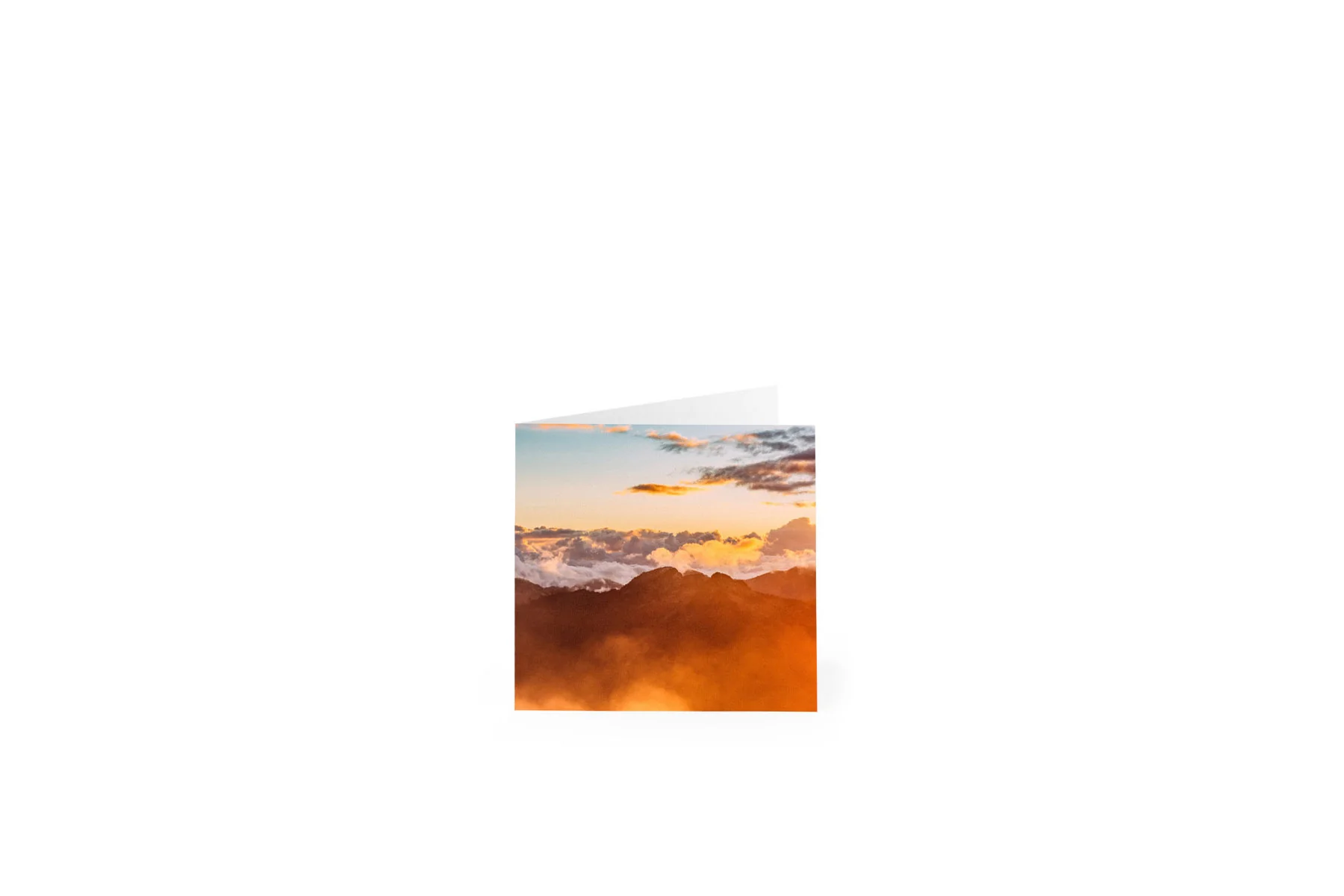 Thumbnail 13